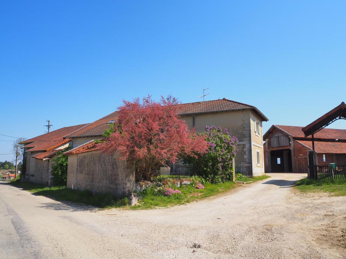 Le Gite Du Haut Châtillon-la-Palud Esterno foto